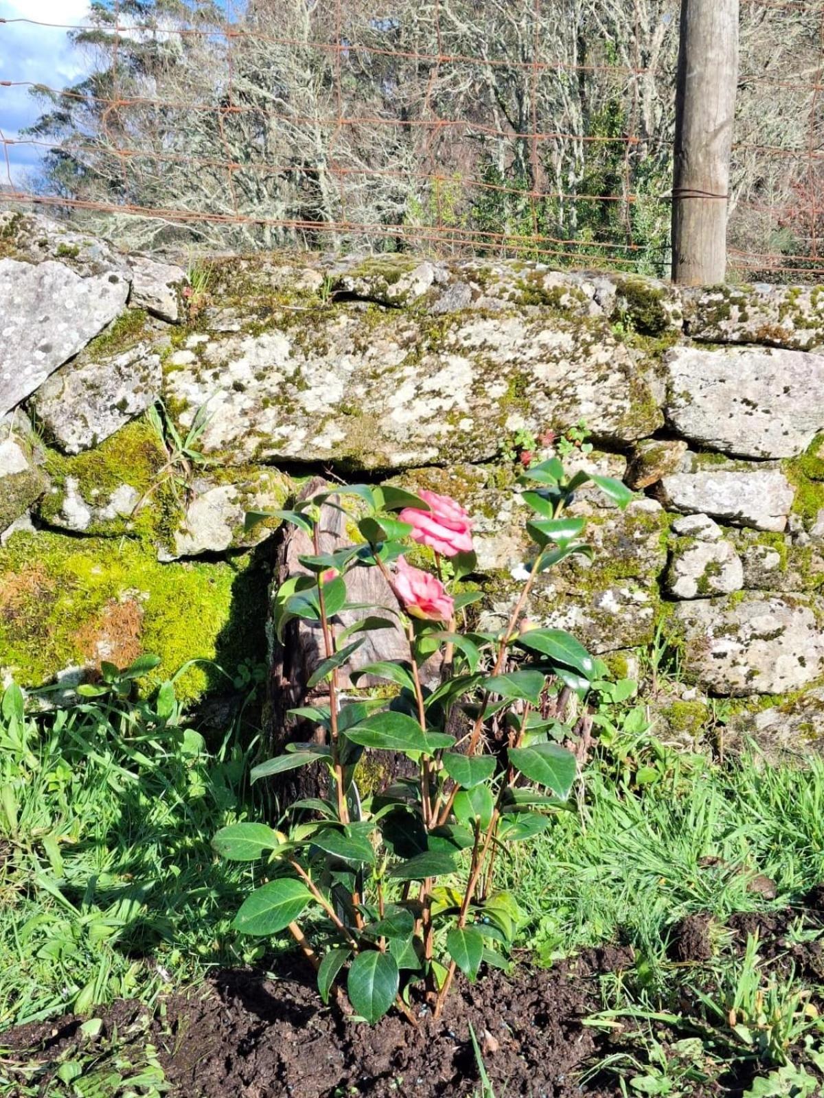 Vive Una Escapada Rural Con Alma, Cerca De Todo Y Lejos Del Ruido Pontevedra Exterior photo